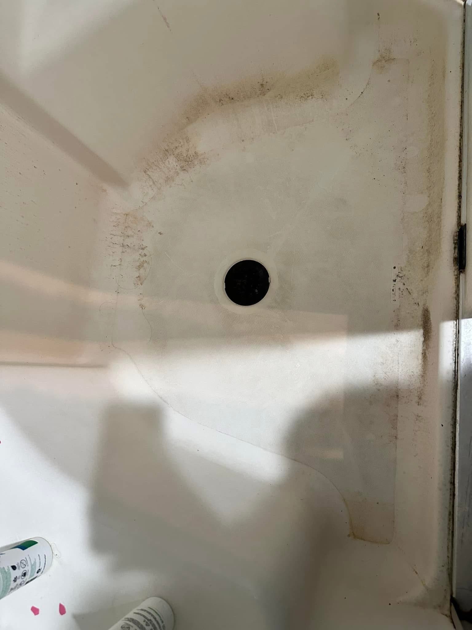 Sparkling clean kitchen sink - Before