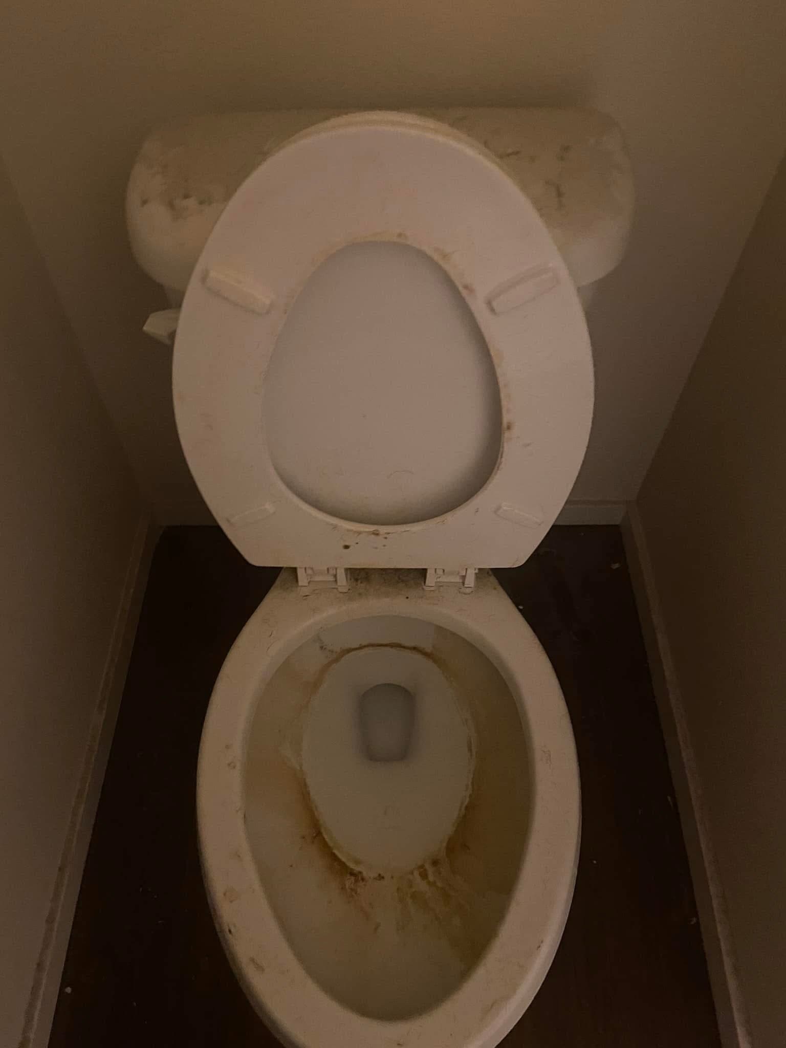 Deep cleaned toilet - Before