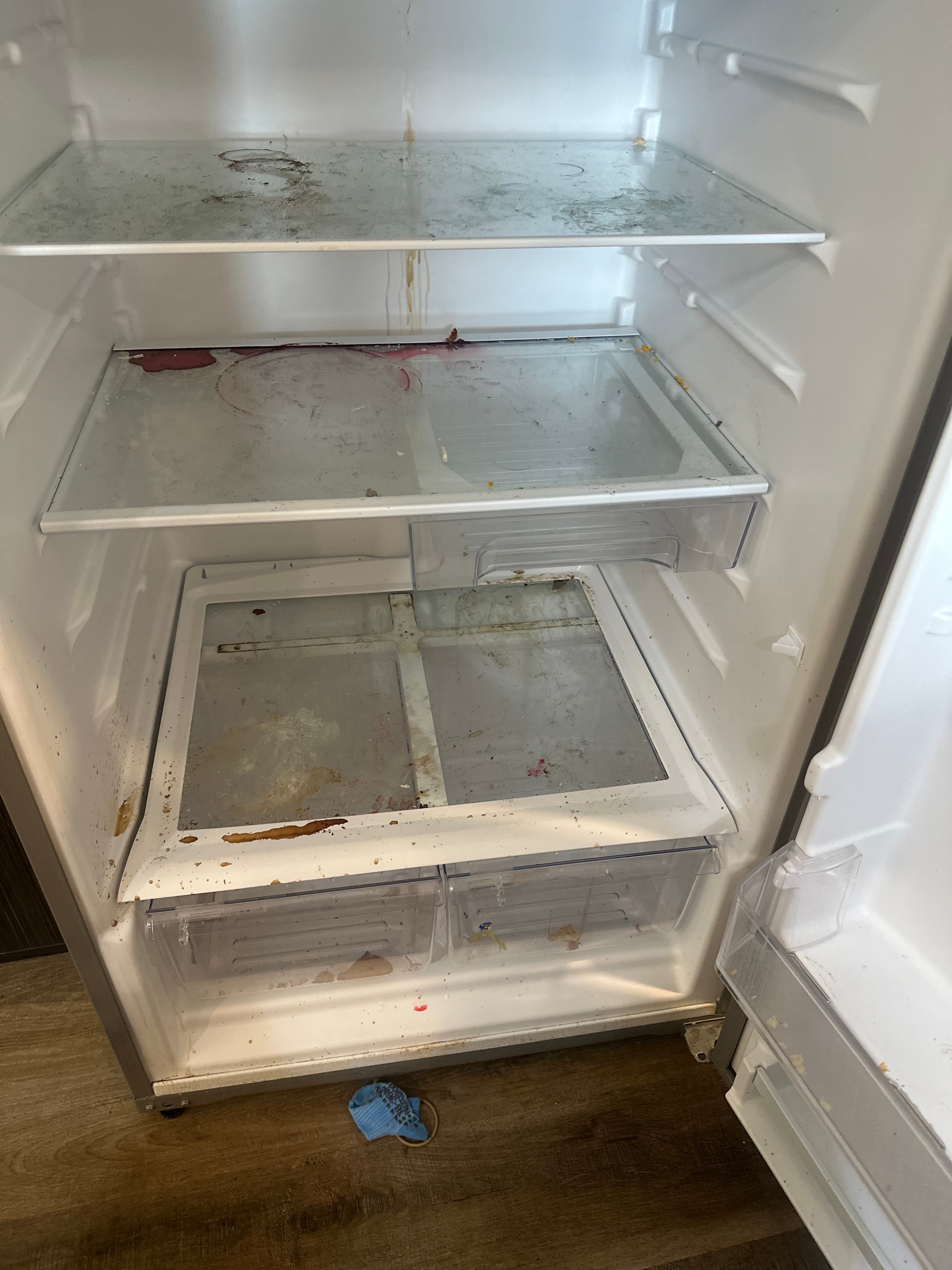 Fridge shelves cleaned - Before
