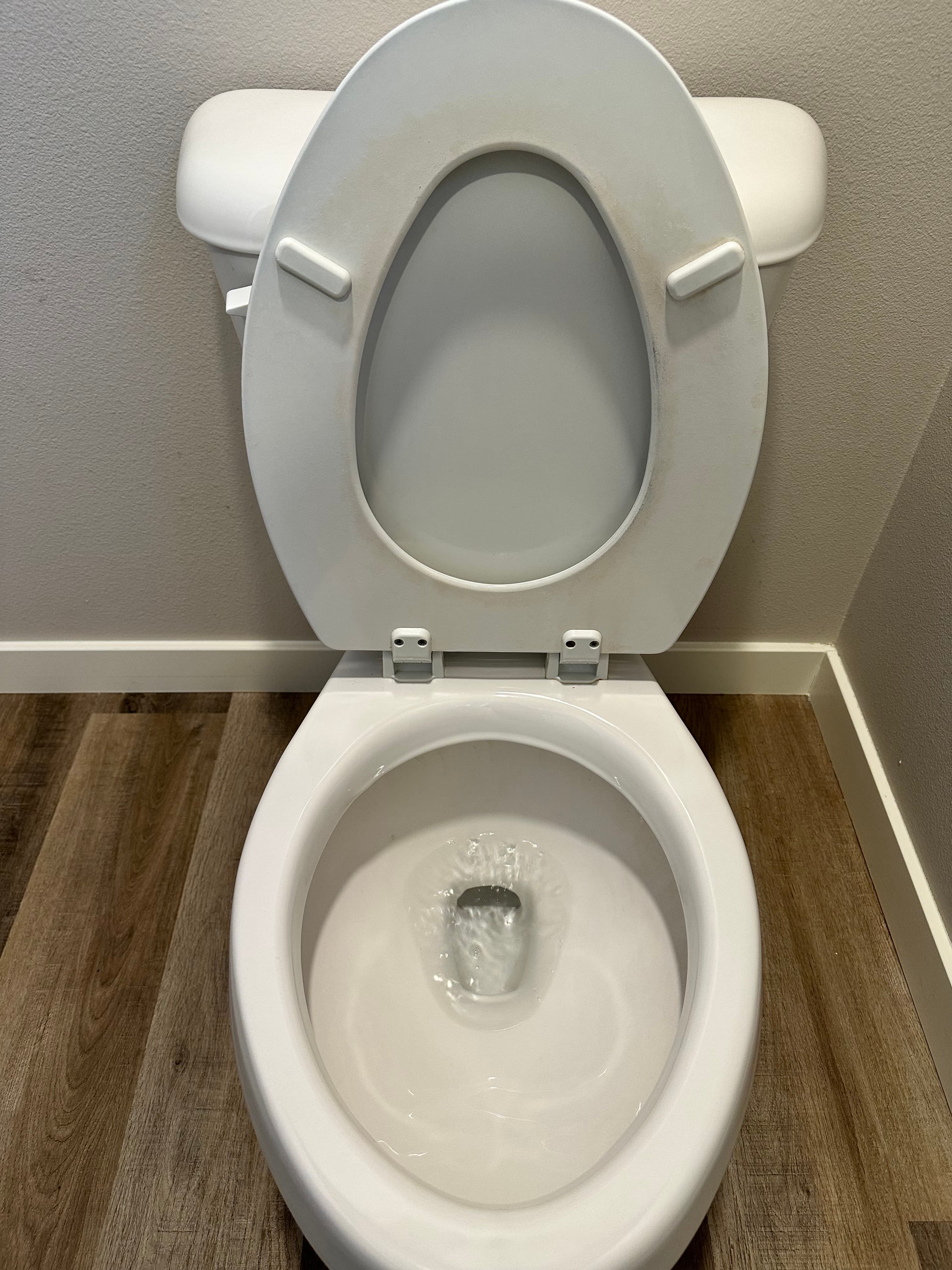 Sanitized toilet - After