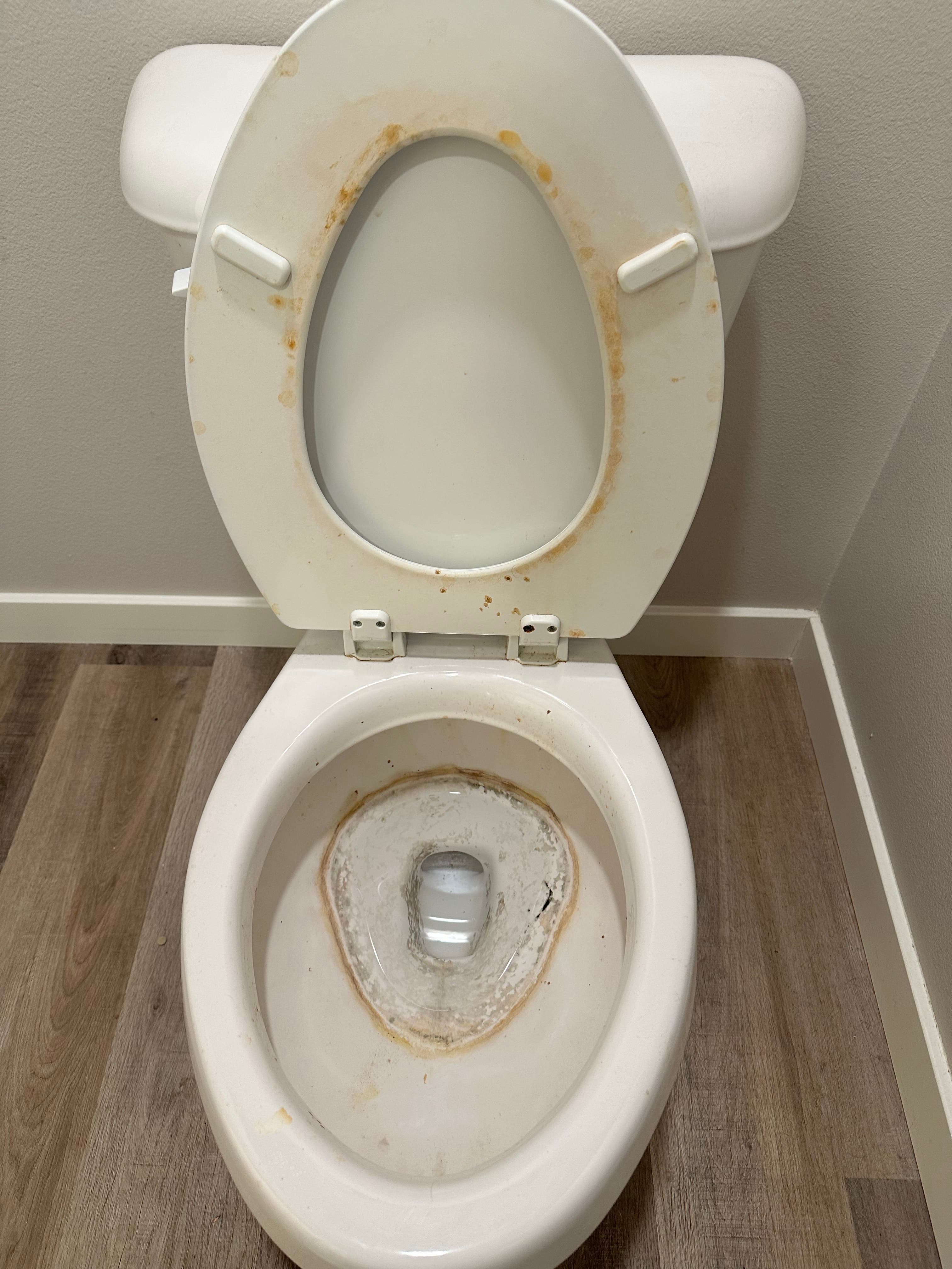 Sanitized toilet - Before